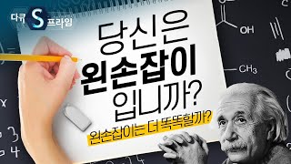 [다큐S프라임] 정말 왼손잡이는 더 똑똑할까요? / YTN 사이언스