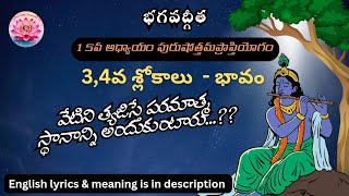 వేటిని తేజిస్తే పరమాత్మ స్థానాన్ని అందుకుంటారు?|భగవద్గీత|ప్రతిరోజు గీతా శ్లోకం|skillzone sadhana