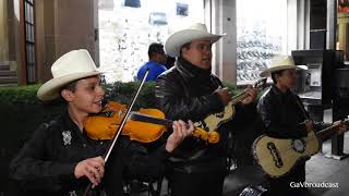 El Trío Eco Potosino toca "El Querreque" en la calle del Huapango SLP