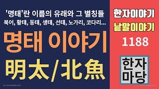 한자이야기 #1188 명태 이야기... '명태'의 유래와 별칭들... 북어, 황태, 동태, 생태, 선태, 노가리, 코다리