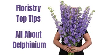 Top Tips For Florists using Delphinium