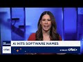 Software stocks show vulnerability to AI