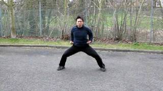 Leo Chinese Kung Fu Institute: By Sifu Leo Au Yeung (洪家拳示範)