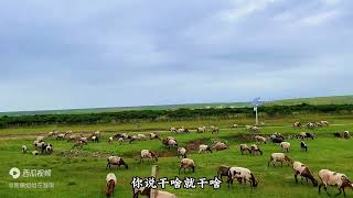 这两种人最适合做旅游搭子，一起出去旅游，我喜欢做一个无脑的人