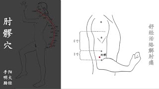 人体穴位023：肘髎：舒经活络解肘痛，弹拨肘髎穴5分钟，每天坚持，可防治肩臂肘疼痛麻木 20211019.mp4