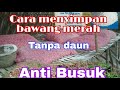 Cara menyimpan bawang merah tanpa daun