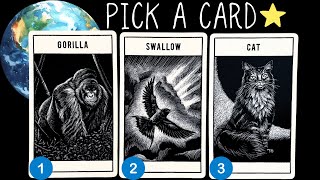 A Special Message About Your EARTH MISSION (not to be missed)!✨🌏🕯️✨PICK A CARD 🃏Timeless Reading