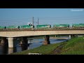 武蔵野線多摩川橋梁　貨物列車84レ　musashino line tama river bridge　2020.8.28