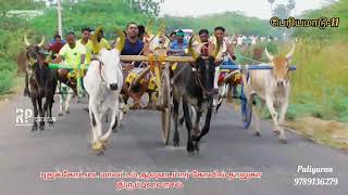 புதுக்கோட்டை மாவட்டம்,திருப்புனவாசல் மாட்டுவண்டி பந்தயம் .பெரியமாடு