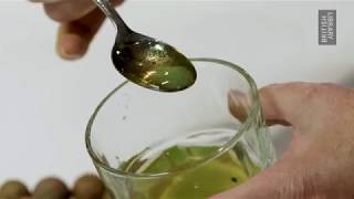 Making Manuscripts: Oak Gall Ink