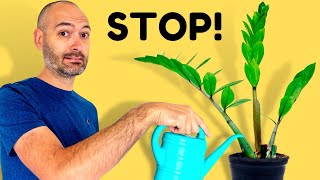 STOP Watering Your ZZ Plant (here’s why)