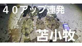 苫小牧クロガシラ狙いなら際を狙え‼️大物連発❗