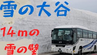 絶景の14ｍの雪の壁の中を行く雪の大谷＆室堂展望台【立山黒部アルペンルート旅⑧ゆっくまーの旅日記】