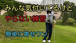 寄せワンを増やすためにする練習【自宅でも出来る】