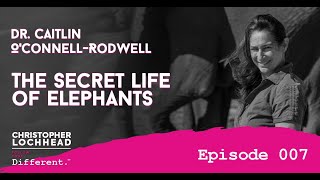 007 Caitlin Elizabeth O'Connell-Rodwell The Secret Life of Elephants | Follow Your Different™