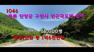 [번호 1046] 단양군 가곡면 국도변 개발되는 임야 평당1만원