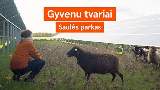 „Gyvenu tvariai“ | SAULĖS PARKAS, 6 serija