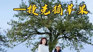 父女自驾环球旅行第八国——捷克！热闹的都市与田园生活你更向往哪一种呢？这和你们想象中的欧洲农村一样吗？张白鸽圆梦老爸环球旅行 自驾游 女司机 张白鸽