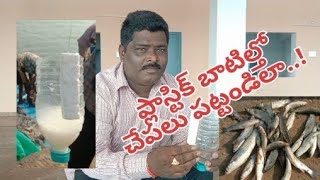 #బాటిల్ తో  చేపలు పట్టే విధానం #plastic bottle tho fishing #Riverfishcatching