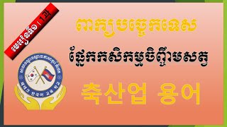 축산업 용어 1과 ពាក្យបច្ចេកទេសផ្នែកកសិកម្មចិញ្ចឹមសត្វ(មេរៀនទី១)