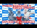 【羽鳥ぽぽぽ】公園にいるレース鳩の対応方法を紹介！【第211羽】