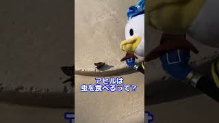 【ディズニー】虫さんとドナルド【声真似】