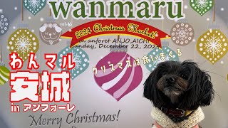 【わんマル安城 inアンフォーレ2024クリスマスマーケット】わんマルクリスマスマルシェで食べまくり！クリスマスも食いまくるぞ!!【先着100名のおやつクジは無事ゲットできるか！？】