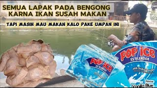 Pemancing semuanya ampir kena mental gara gara lele pada mogok makan,!!!🤣Tapi tidak dengan umpan ini