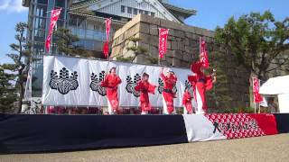 【よさこい踊り「さい」】メチャハピー祭 in 大阪城2013