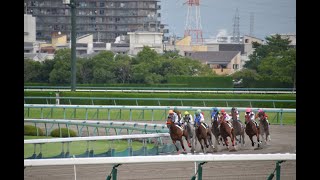 東京新聞杯 きさらぎ賞　本命＆買い目