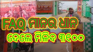 ଚାଷୀ ମଣ୍ଡିରେ FAQ ମାନର ଧାନ ଦେଲେ ପାଇବେ ୩୧୦୦ ଶହ ଟଙ୍କା |