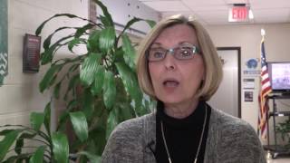 Staff Wellness Overview