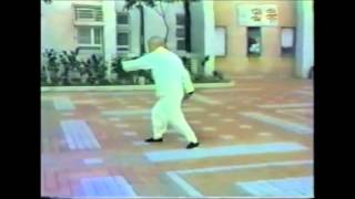 FONG PAK-SHING  Yueng Style Tai Chi Saber  方伯誠師父示範楊式太極刀