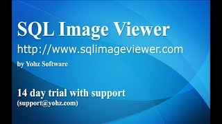 An introduction to SQL Image Viewer