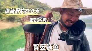 連續野釣280天 第204天 這個魚根本不夠吃！