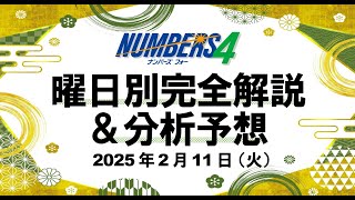 累計80万回再生到達しました！【ナンバーズ4予想】2025年2月11日（火）