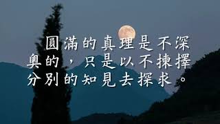 不二法門　以妄遣妄　以言遣言　默言無語 （觀成法師之廣結善緣1108）