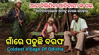 ଗାଁରେ ପଡୁଛି ବରଫ || Coldest Village of Odisha || Niyamagiri || Dangaria Kandha || Help India Odisha