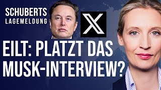 💥Klartext USA-Abrechnung von Alice Weidel +++ „Sklaven“ der USA +++ Mainstream tobt!