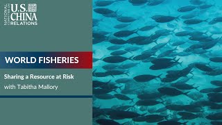 World Fisheries: Sharing a Resource at Risk | U.S.-China HORIZONS