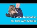 #263 How to build an Animal RFID reader with Arduino, ESP8266, or ESP32