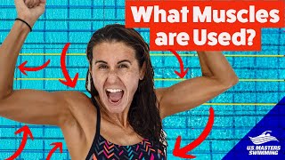 The Impacts of Backstroke Swimming on Your Body