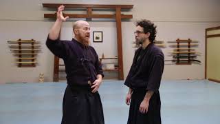 Aikido strikes, and dealing with strikes