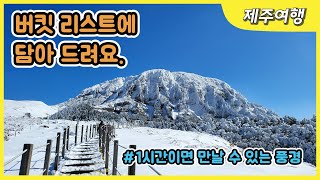 [겨울제주여행] 겨울에 제주도 가서 뭐하지? 라는 물음에 시원한 답을 드립니다.