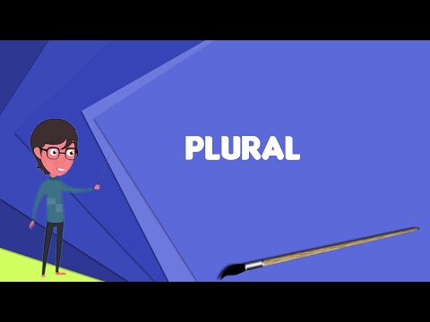 What does it mean when someone says they are plural?