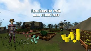 RuneScape 3: Herb Runs & Fruit Tree Runs | Garden of Kharid | Money Making Guide