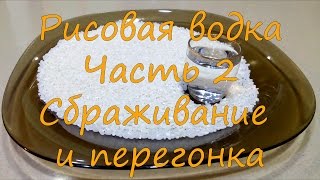 Рисовая водка. Часть 2. Сбраживание и перегонка.