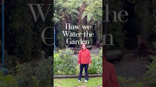 Garden things! #garden #newzealand #gardenvegetables #gardening #intherain #inthegarden