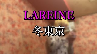 【LAREINE】＜冬東京＞カラオケで歌ってみた