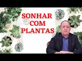 O QUE SIGNIFICA SONHAR COM PLANTAS